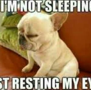 Meet your Posher, Consuelo