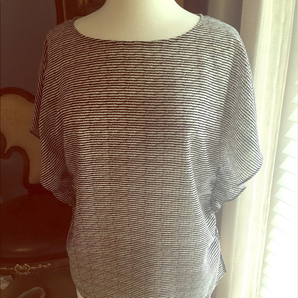 Outback Red (The Limited) Sheer and Striped Blouse