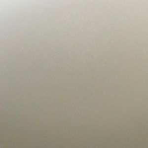 Meet your Posher, Daniela