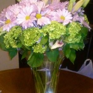 Meet your Posher, Patsy