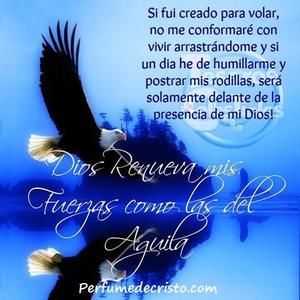 Meet your Posher, Blanca