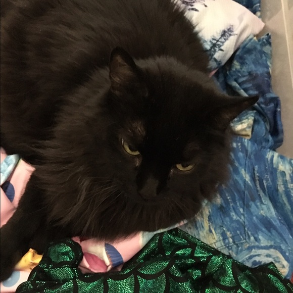 Meet your Posher, Alise - Picture 2 of 2