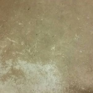 Meet your Posher, Shelby