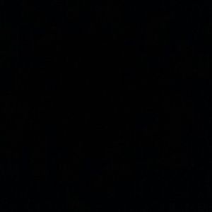 Meet your Posher, Bryan