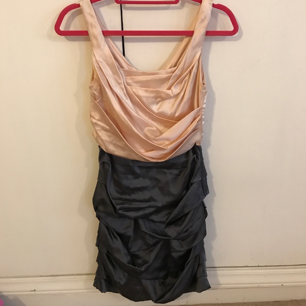 Champaign and gray Express dress!