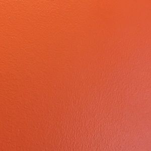 Meet your Posher, Bebe