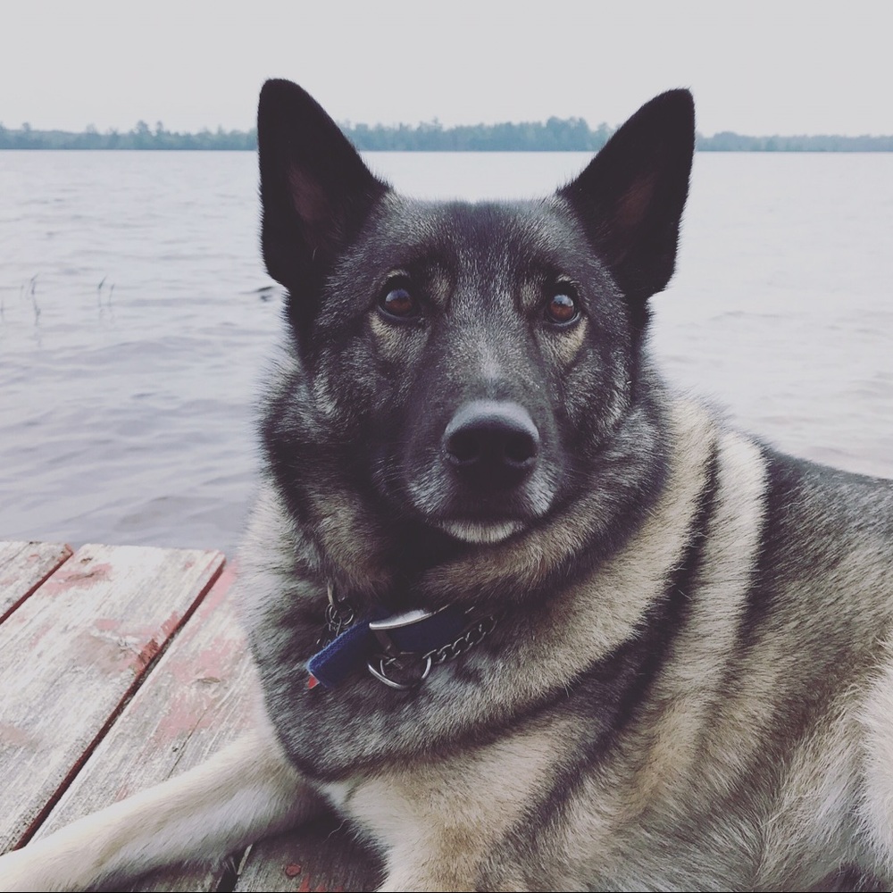 Meet your Posher, Robbie