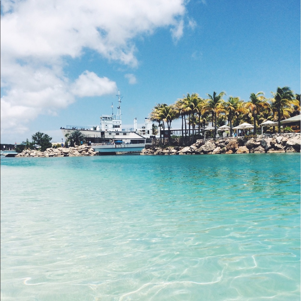 Meet your Posher, Ann