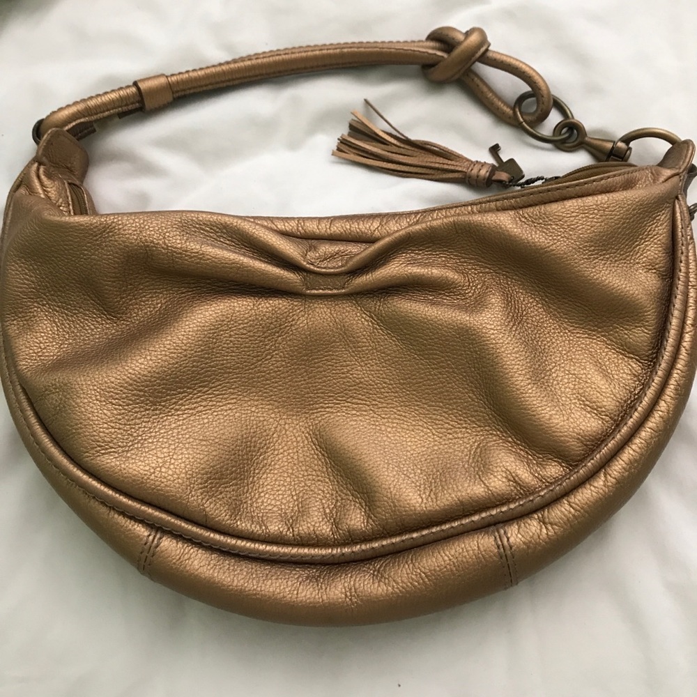Bronze Fossil Bag