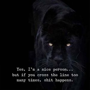 Meet your Posher, Ernie