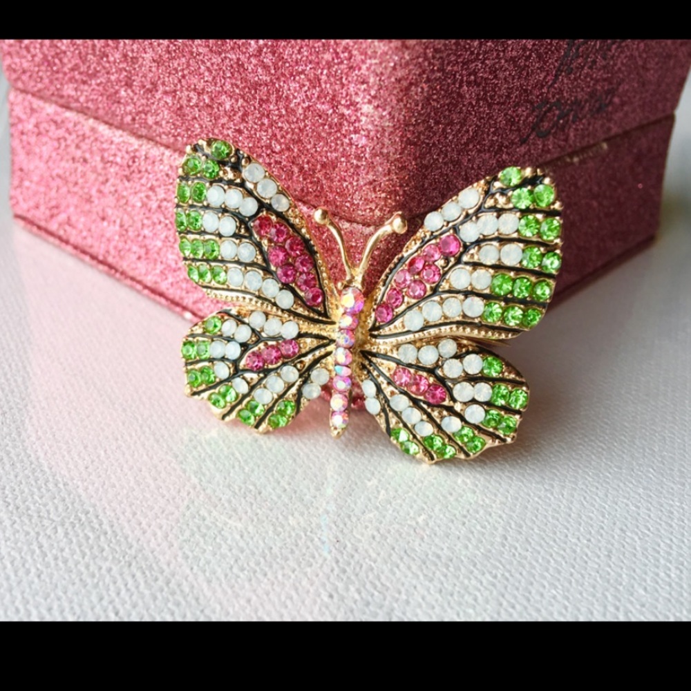 🍉WATERMELON BUTTERFLY BROOCH!