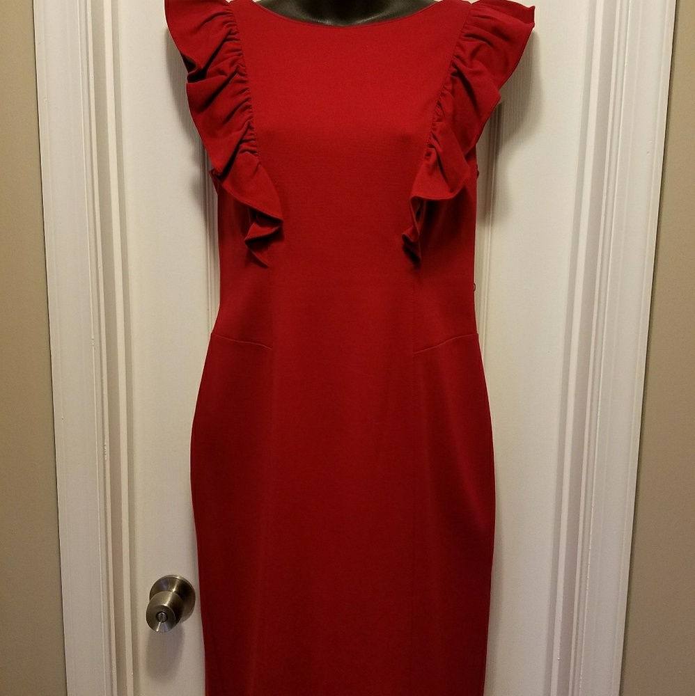 Express Ruffle Sleeve Dress