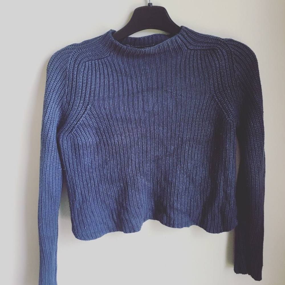 American Apparel blue sweater