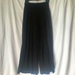 Express wide leg pant