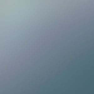 Meet your Posher, Harley