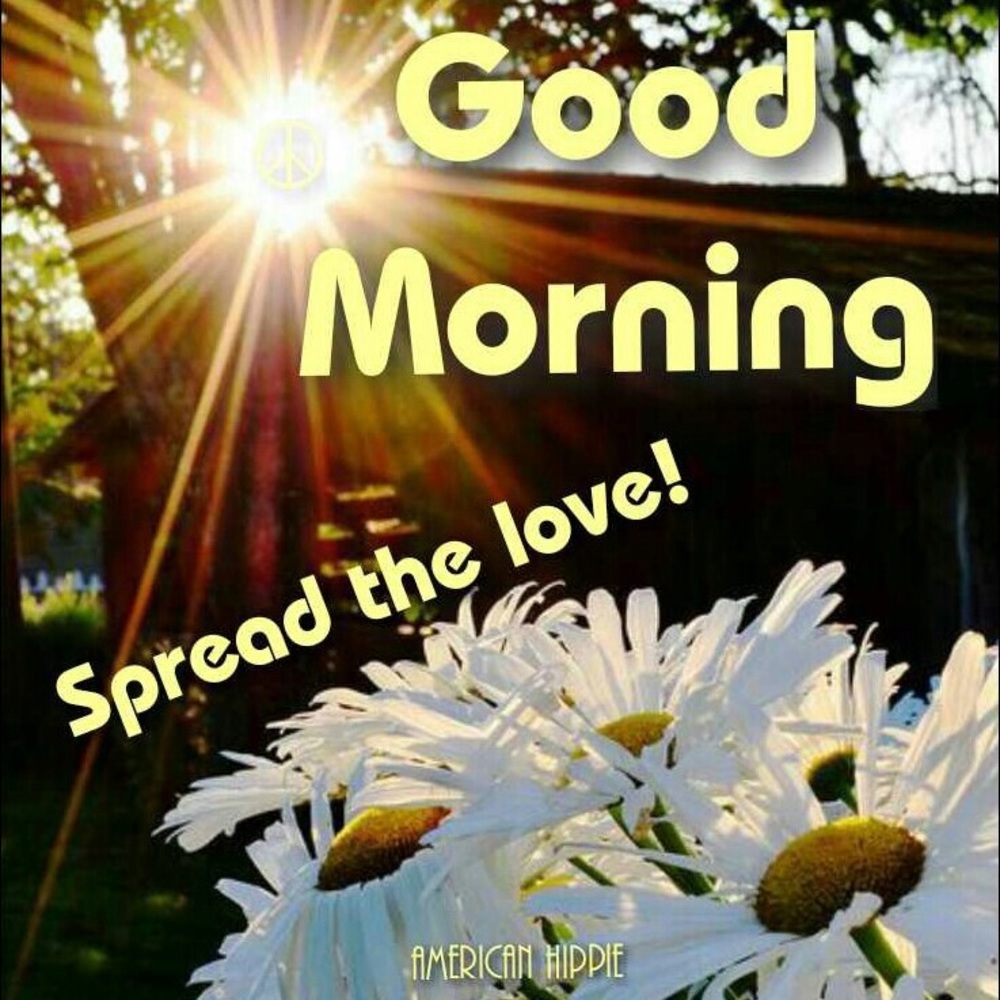 Good morning everyone!!lets make today the best!