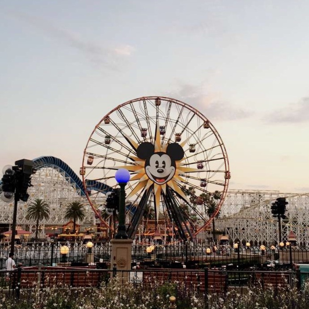 Meet your Posher, Ella