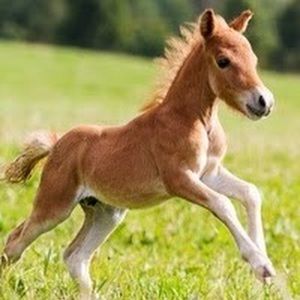 Meet your Posher, Kaitlyn