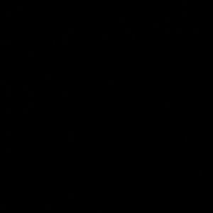 Meet your Posher, Erick