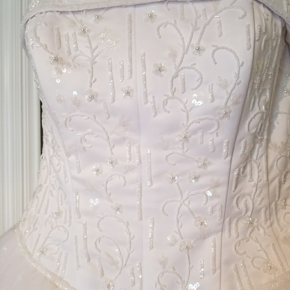 Wedding Dress with accents! - Picture 3 of 8