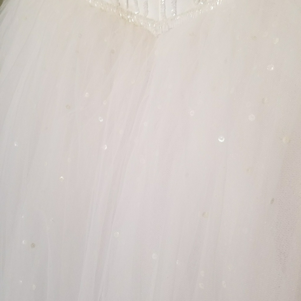 Wedding Dress with accents! - Picture 5 of 8