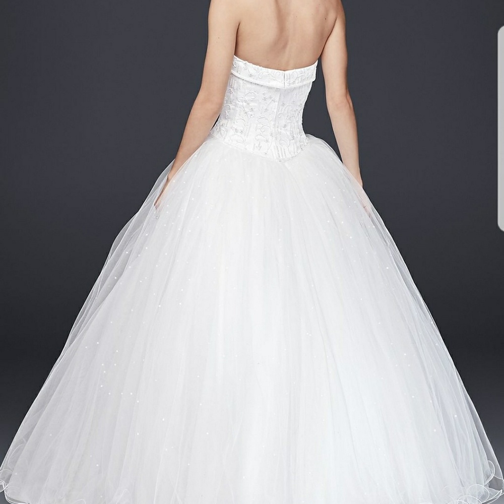 Wedding Dress with accents! - Picture 6 of 8