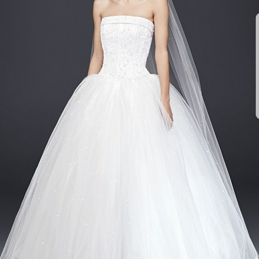 Wedding Dress with accents! - Picture 7 of 8