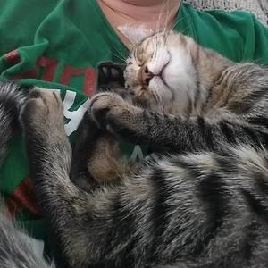 Meet your Posher, Jackie