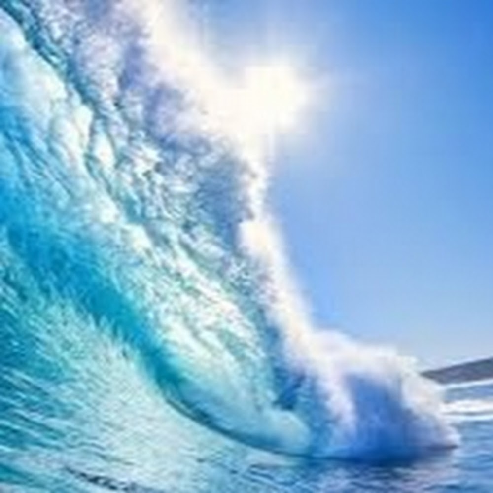 Meet your Posher, Cyndi