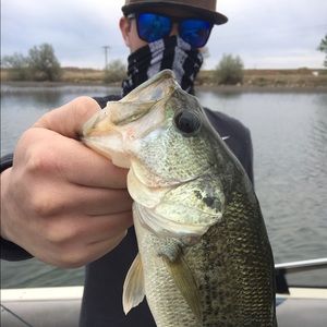 Meet your Posher, Kyle