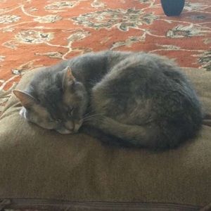 Meet your Posher, Chloe