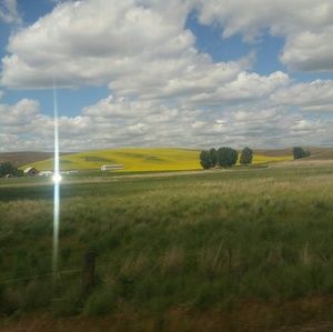 Meet your Posher, Judith