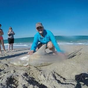 Meet your Posher, Jamey