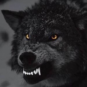 Meet your Posher, Mackenzie