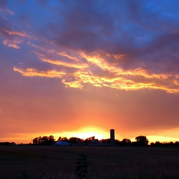 Meet your Posher, Sheila - Picture 1 of 1