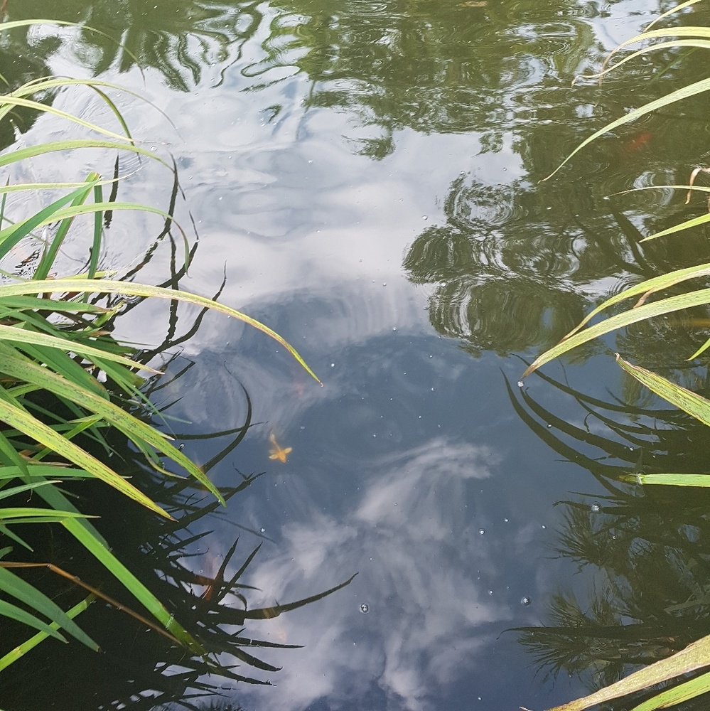 Meet your Posher, Marta