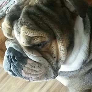 Meet your Posher, Natasha