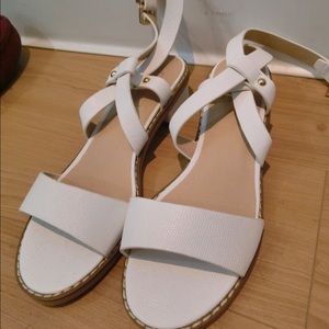 Brand new too shop scandal