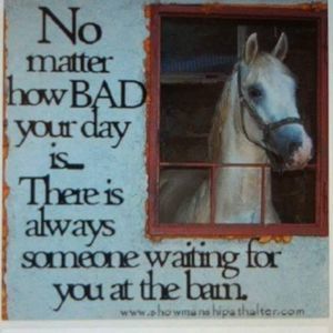 Meet your Posher, Diann