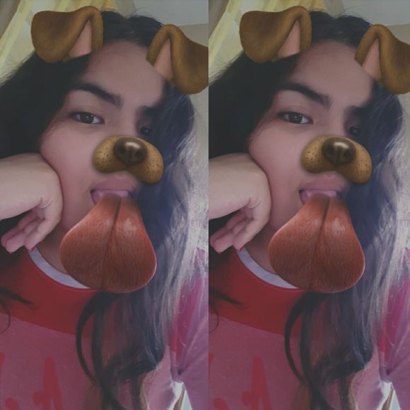 Meet your Posher, Daisy - Picture 1 of 1