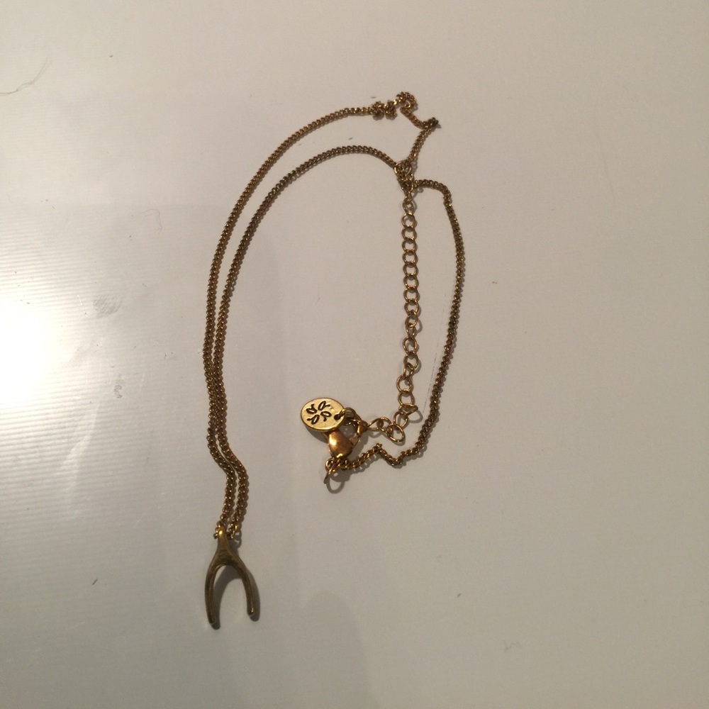 Gold wishbone necklace