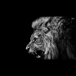 Meet your Posher, Joshua