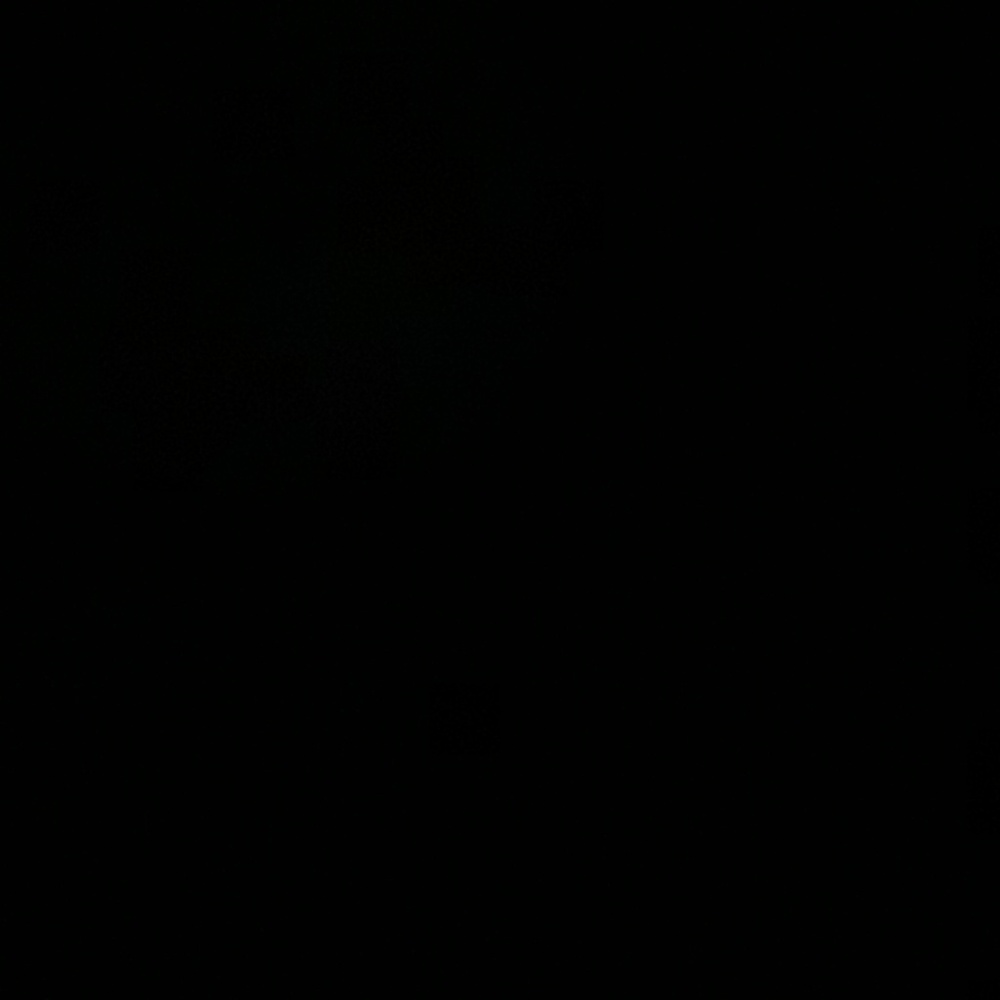 Meet your Posher, Lizzy