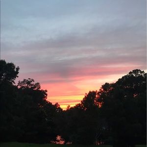 Meet your Posher, Alison