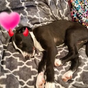 Meet your Posher, Angie