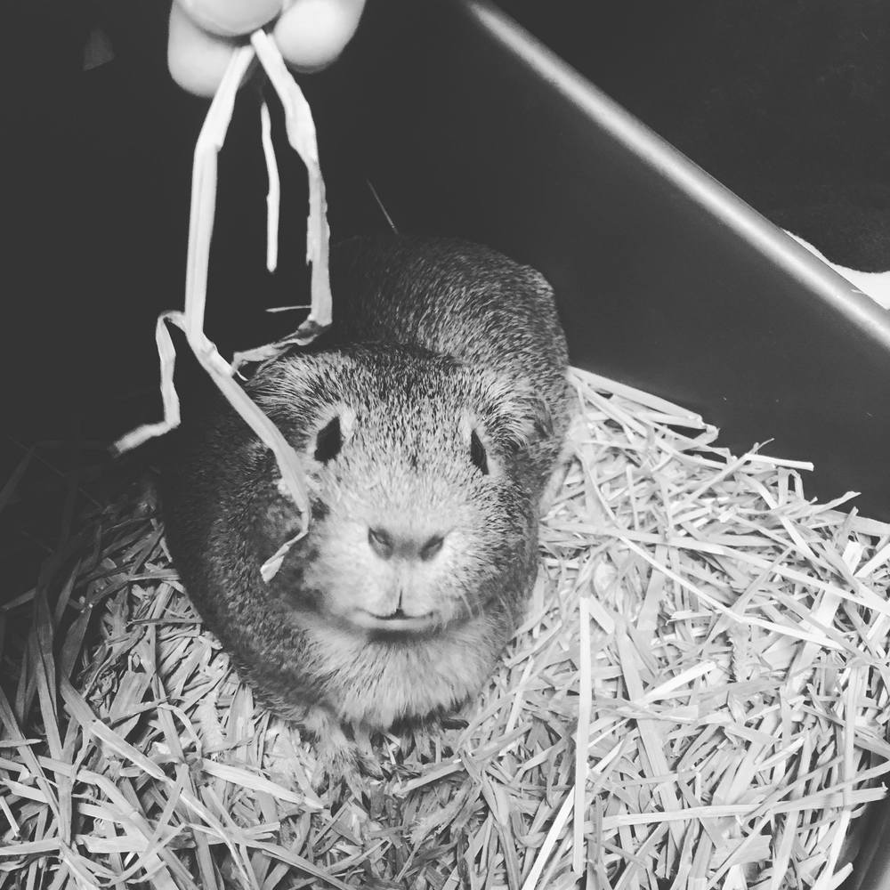 Meet your Posher, Danielle