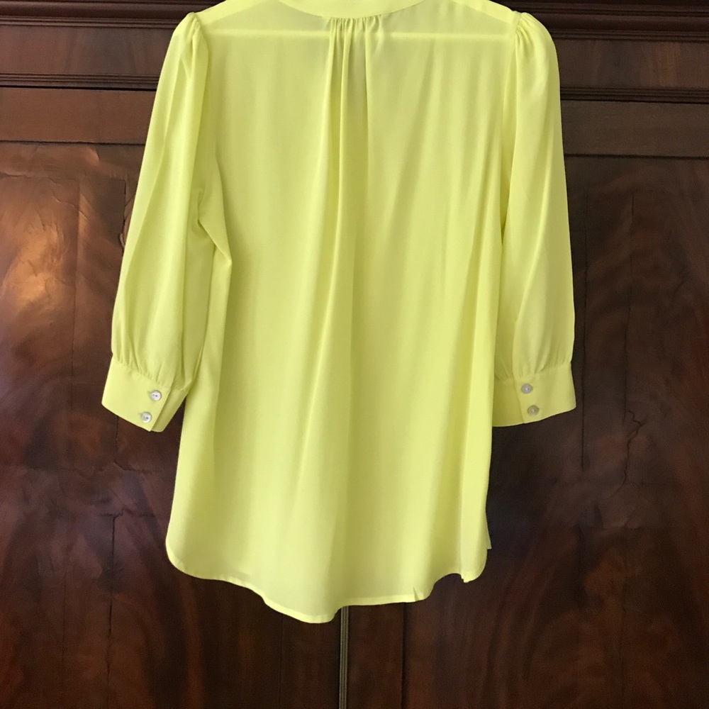Silk Annie Griffin Top View 5