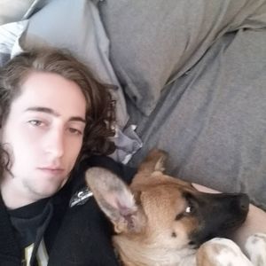 Meet your Posher, Harry