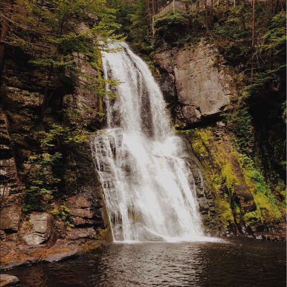 Meet your Posher, Alina - Picture 1 of 1