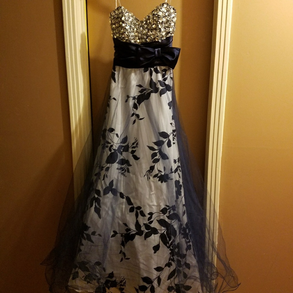 Prom/Formal Dress - Picture 4 of 4